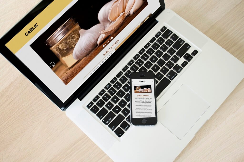 Jasa Pembuatan Website Indonesia Garlic Powder
