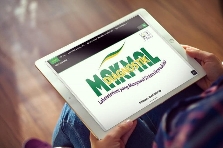 Jasa Pembuatan Website Laboratorium