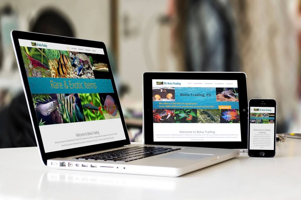 Jasa Website Trading Ikan