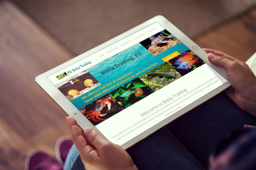Jasa Website Trading Ikan