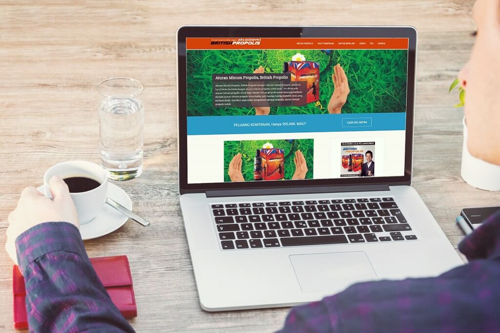 jasa pembuatan website british propolis (2)