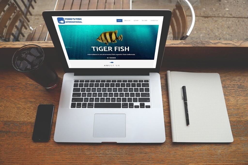 Jasa pembuatan Website Export Ikan