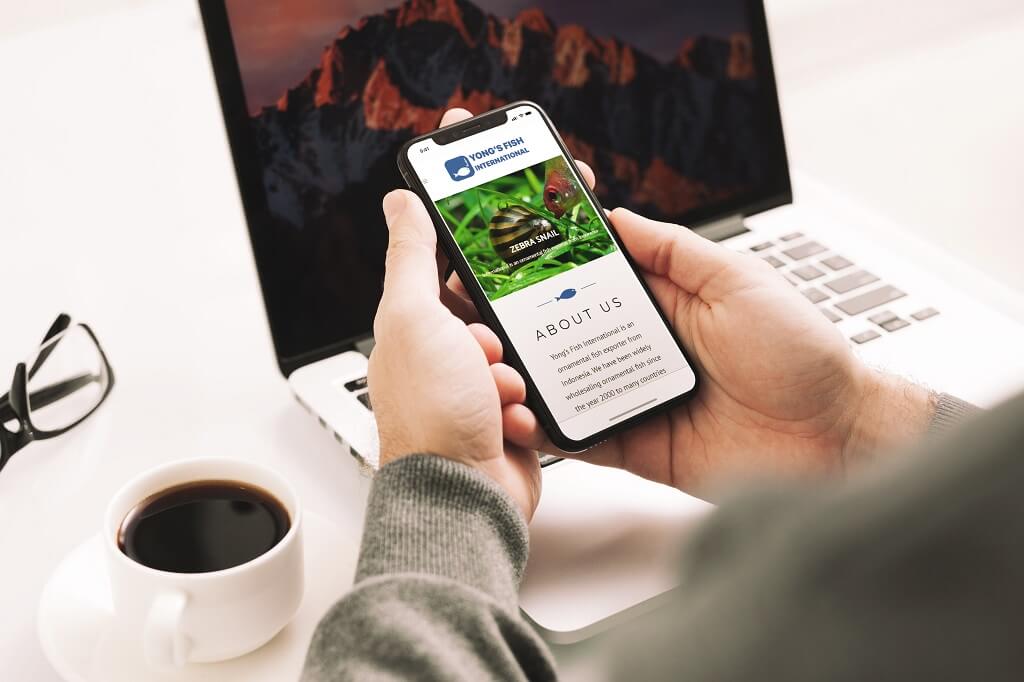 Jasa pembuatan Website Export Ikan