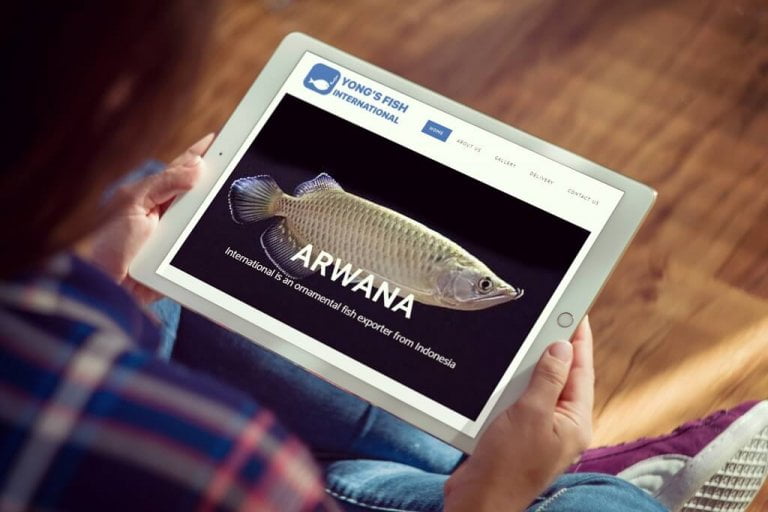 Jasa pembuatan Website Export Ikan