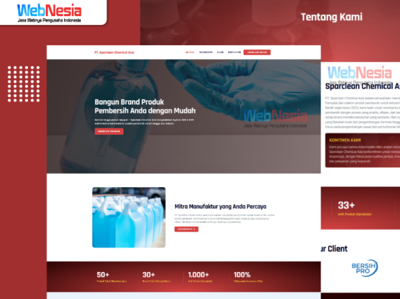 portfolio_sparclean